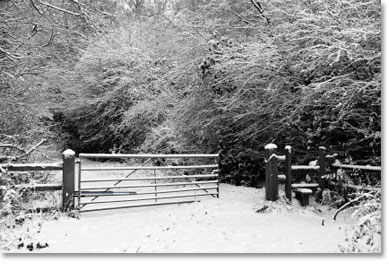 Swing Gate Either gets Stuck or Needs to be Kept Open